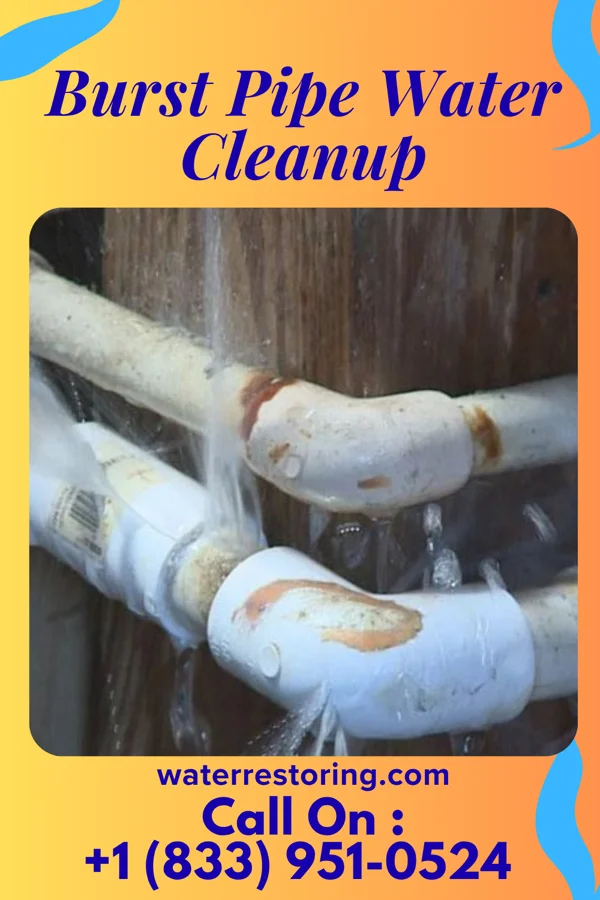 Burst Pipe Water Cleanup in Beech Mountain Lakes, PA