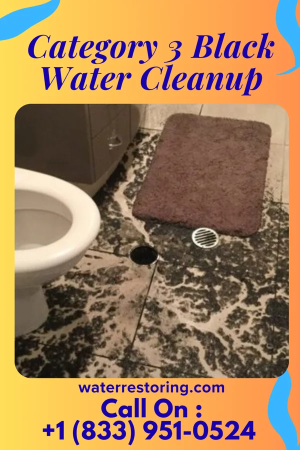 Category 3 Black Water Cleanup in Beech Mountain Lakes, PA