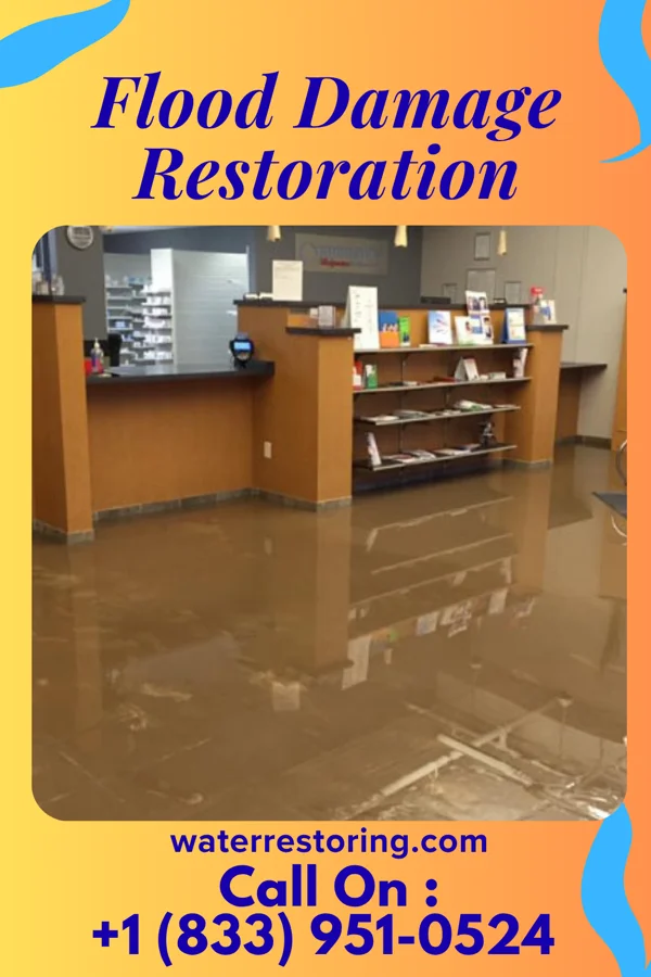 Flood Damage Restoration in Beech Mountain Lakes, PA