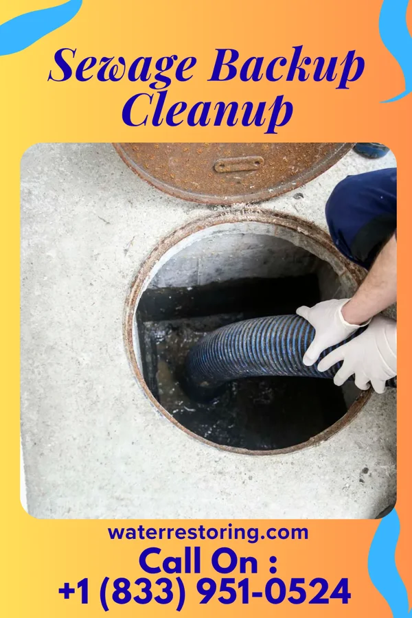 Sewage Backup Cleanup in Beech Mountain Lakes, PA