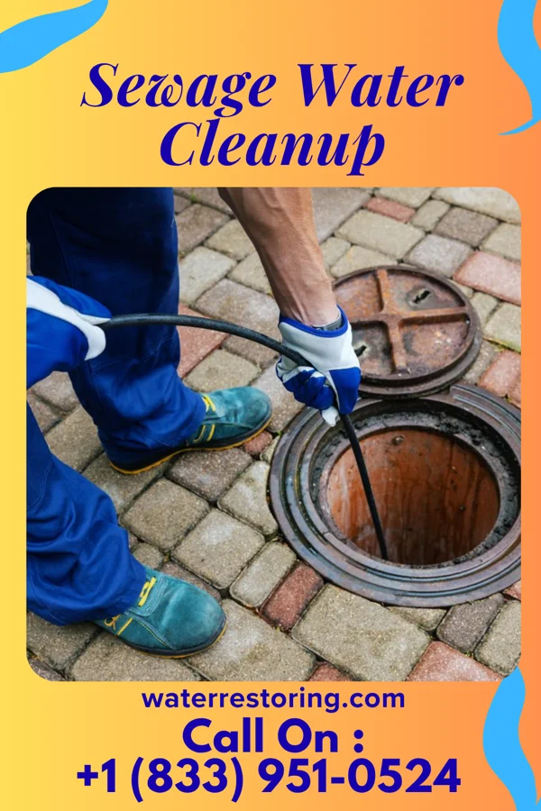 Sewage Water Cleanup in Beech Mountain Lakes, PA