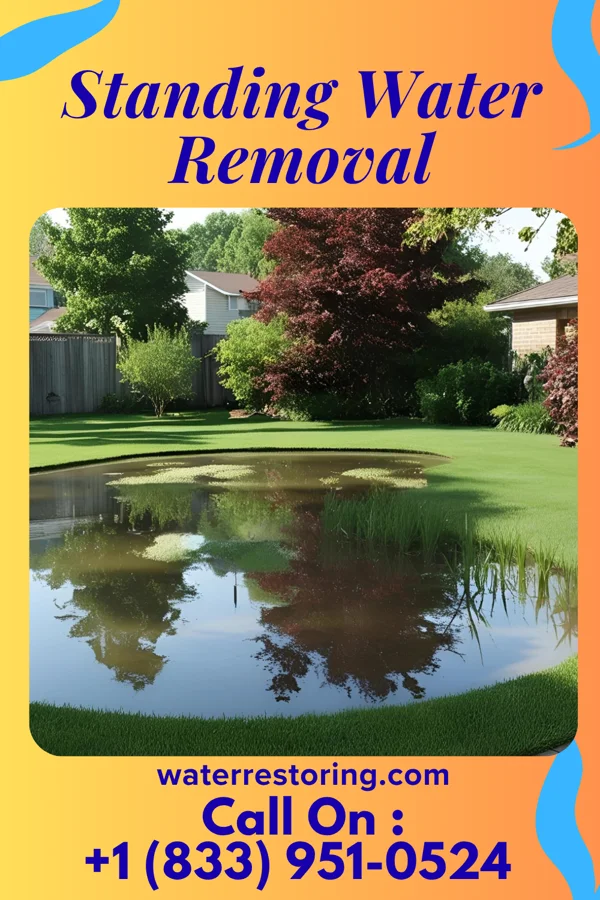 Standing Water Removal in Beech Mountain Lakes, PA